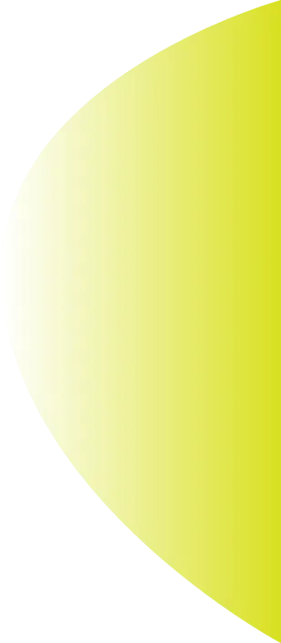 /image/アセット 黄緑@2x.png